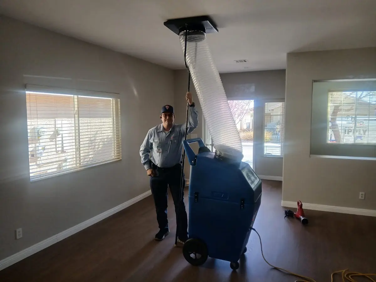 Professional Dryer Vent Cleaning work inside a Kent home